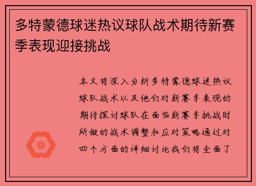多特蒙德球迷热议球队战术期待新赛季表现迎接挑战